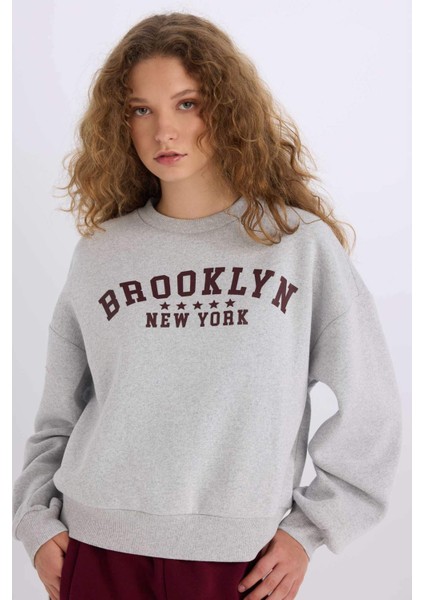 Loose Fit Bisiklet Yaka Baskılı Kalın Kumaş Sweatshirt E3387AXNS