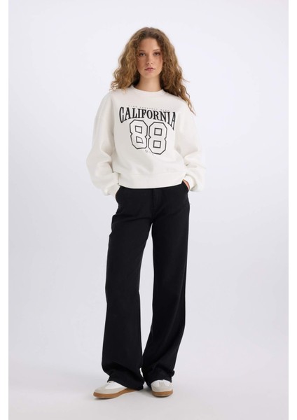 Loose Fit Bisiklet Yaka Baskılı Kalın Kumaş Sweatshirt E3388AXNS