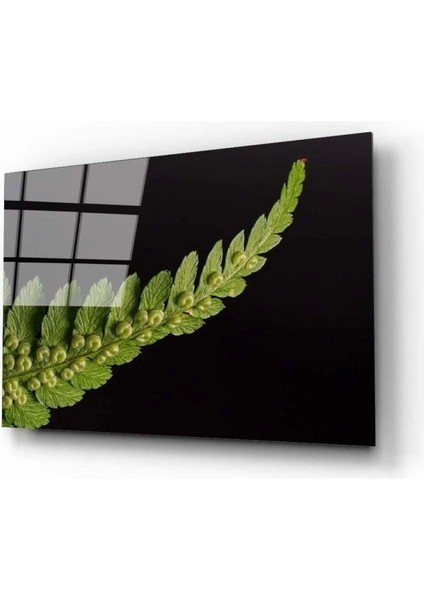 Yaprak Cam Tablo