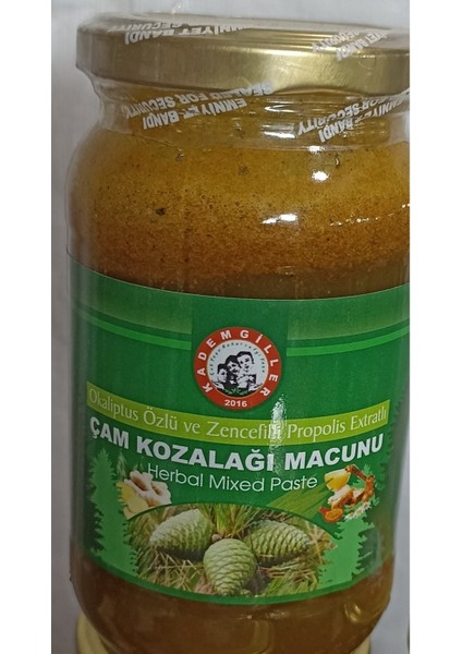 Çam Kozalağı Macunu