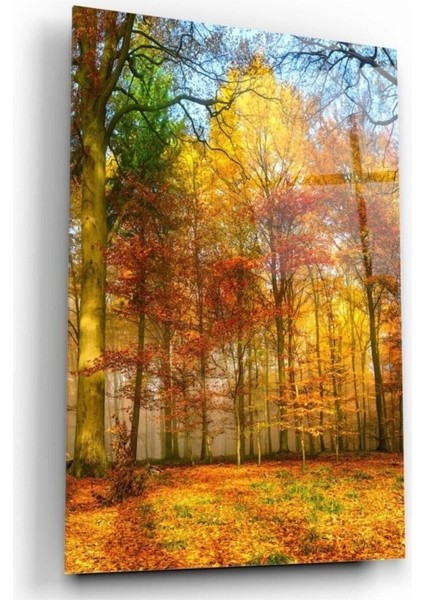 Marsilyan- Orman Cam Tablo