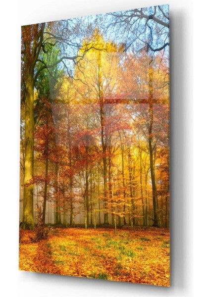 Marsilyan- Orman Cam Tablo fiyatları