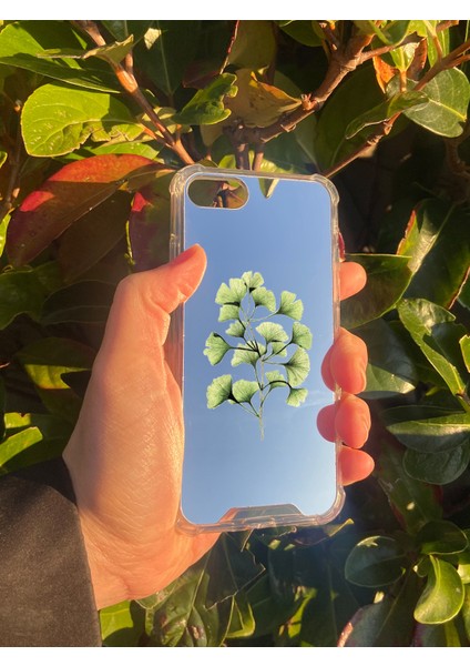 Apple iPhone Se 2022 Uyumlu Aynalı Ginkgo Yaprak Desenli Darbe Kamera Korumalı Silikon Telefon Kılıfı