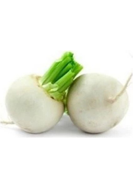 Turp Tohumu Toros Beyazı Paket 10 Gram