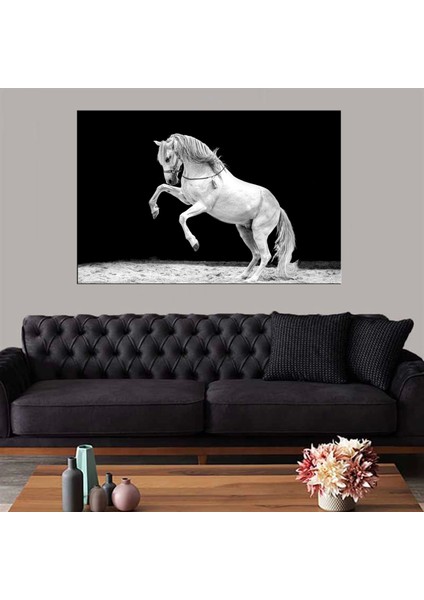 Dekoratif Baskı Siyah Beyaz Şahlanmış At Kanvas Tablo