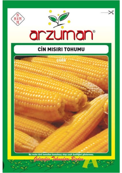 Cin Mısırı Tohumu