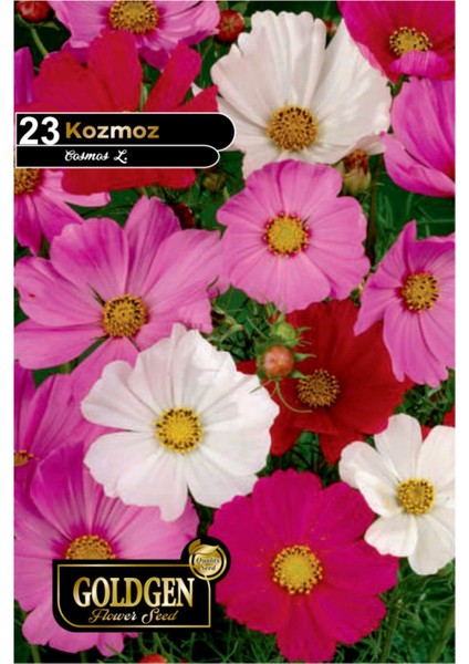 Kozmoz Çiçeği Tohumu