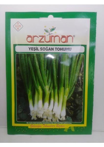 Yeşil Soğan Tohumu
