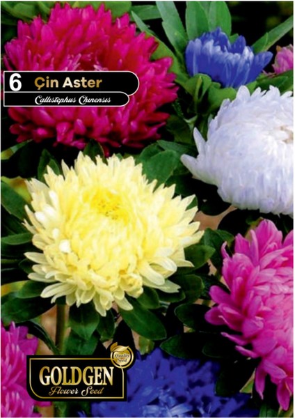 Çin Aster Tohumu