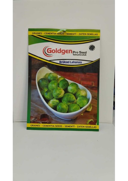 Goldgen Brüksel Lahanası Tohumu