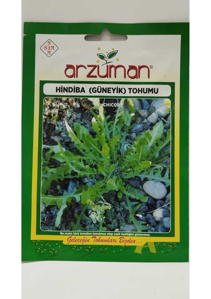 Hindiba Tohumu