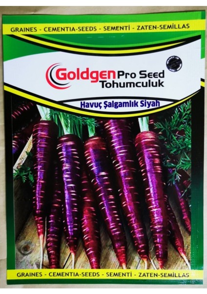 Goldgen Pro Seed Havuç Şalgamlık Siyah