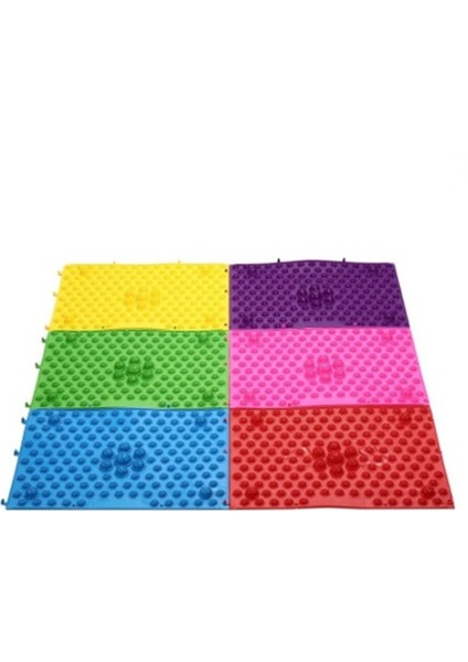 Acupressure Ayak Paspası, Ayak Refleksoloji Duyu Matı 6lı Set