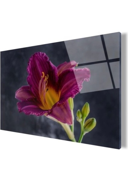 Çiçek Cam Tablo fırsatları