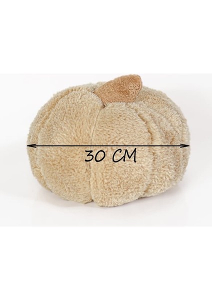 30 cm Kabak Kırlent fiyatları