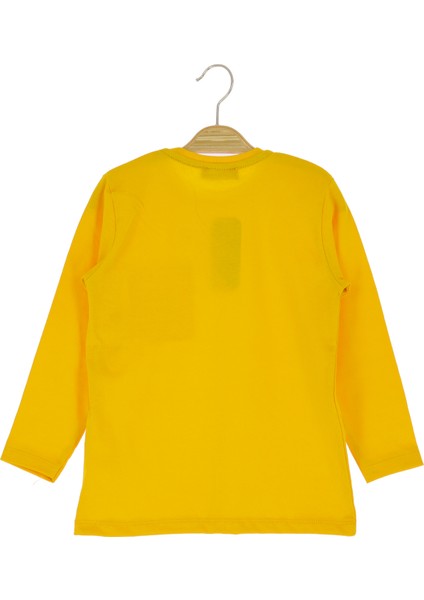 Erkek Çocuk Sweatshirt