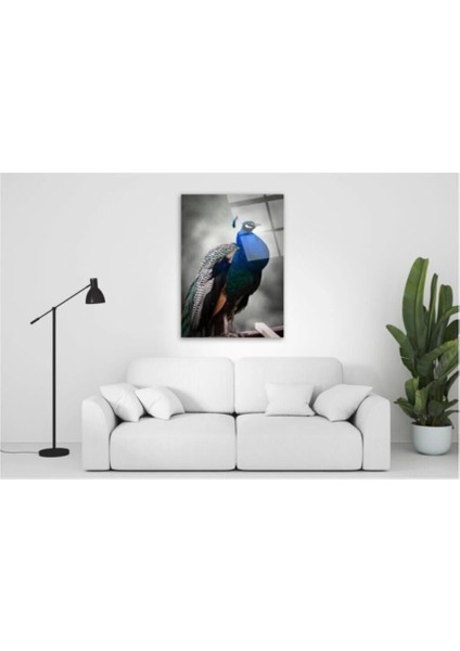 Tavuskuşu Cam Tablo 2 50 x 70 cm cm fiyatları