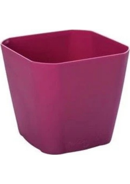 Safir Saksı Fuşya 0.8 Litre