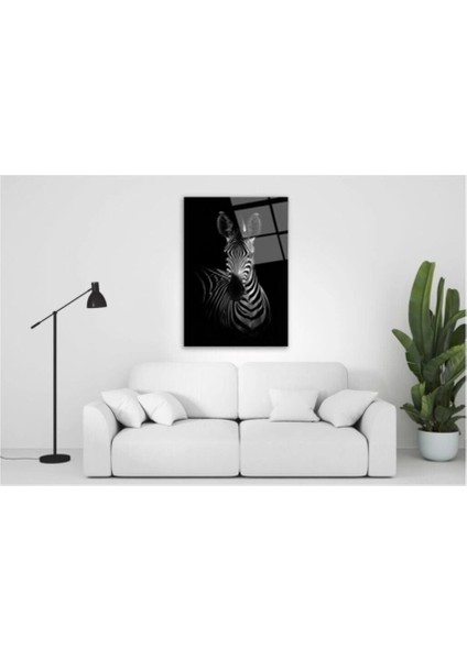 Zebra Cam Tablo 50 x 70 cm