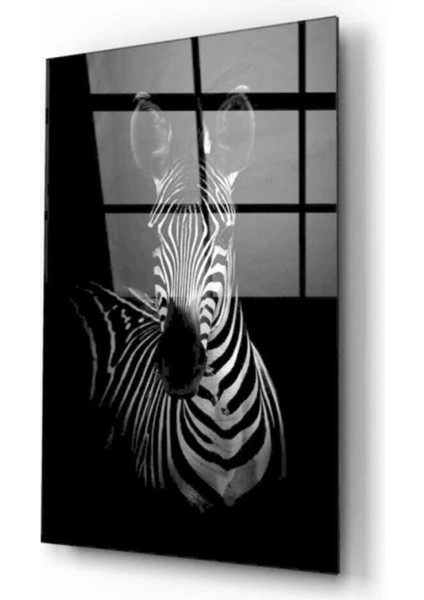Zebra Cam Tablo 50 x 70 cm fiyatları