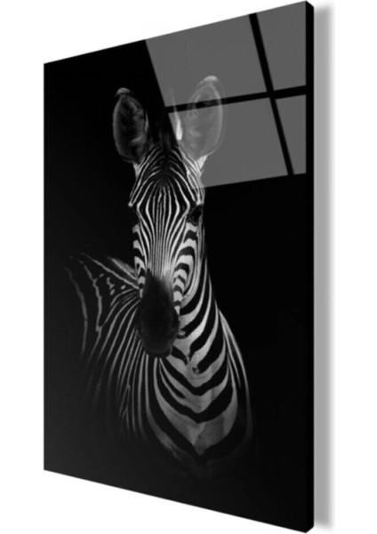 Zebra Cam Tablo 50 x 70 cm modelleri