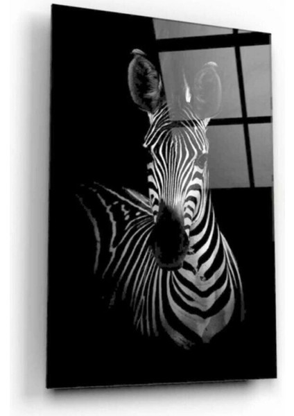 Zebra Cam Tablo 50 x 70 cm fırsatları
