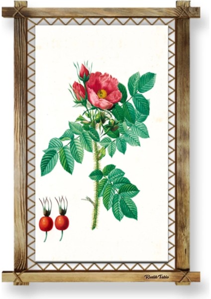 Çiçek LED Işıklı Rustik Kanvas Tablo B