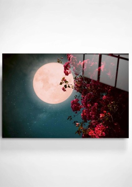 Marsilyan- Digi-Foto Full Moon Cam Tablo 60 x 90