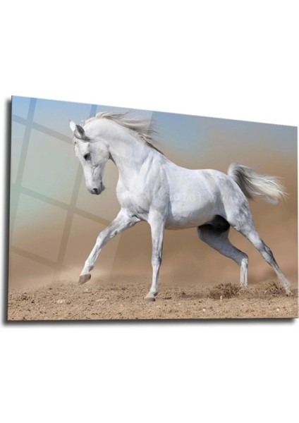 Kelebek Yuvarlak Cam Tablo fiyatları