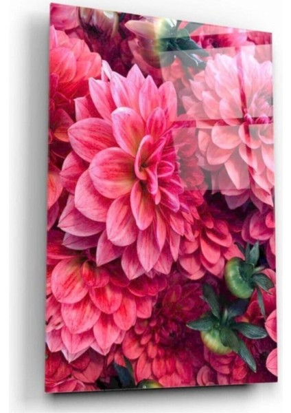 Kırmızı Çiçekler Cam Tablo