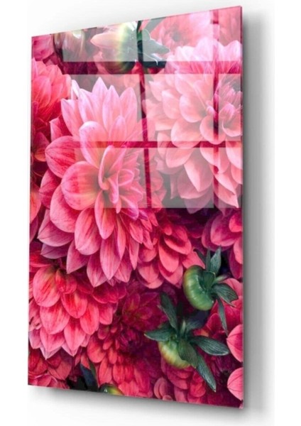 Kırmızı Çiçekler Cam Tablo fiyatları