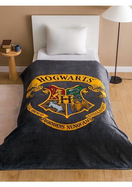 Lcw Karışık Harry Potter Baskılı Tek Kişilik Battaniye 150 x 200 cm fırsatları
