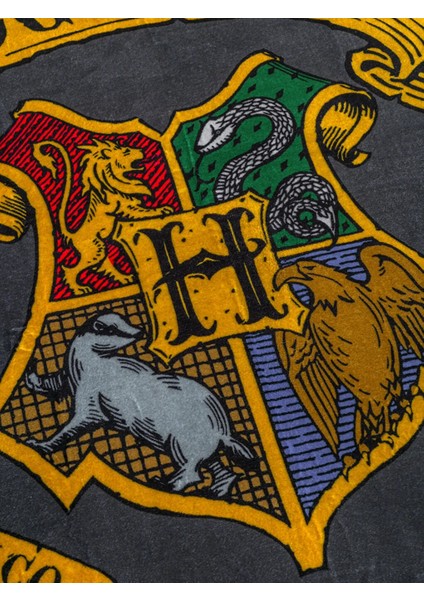 Lcw Karışık Harry Potter Baskılı Tek Kişilik Battaniye 150 x 200 cm indirimleri