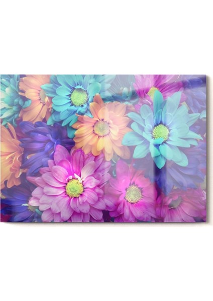 Renkli Çiçek Bahçesi | Çiçek Temalı Cam Tablo | 50 x 70 cm fırsatları