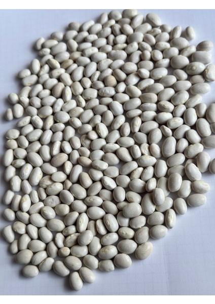 Ispir Ispir Kuru Fasulyesi 3 kg