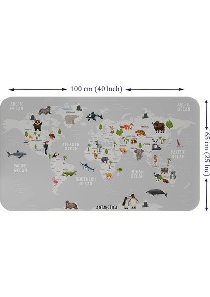 - Eğitici Dünya Haritası Dünya Atlası Çocuk ve Bebek Odası Duvar STICKER-60X105-3790