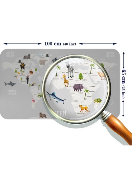 - Eğitici Dünya Haritası Dünya Atlası Çocuk ve Bebek Odası Duvar STICKER-60X105-3790