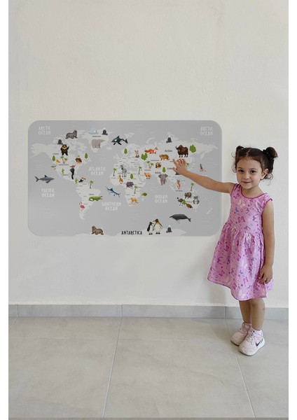 - Eğitici Dünya Haritası Dünya Atlası Çocuk ve Bebek Odası Duvar STICKER-60X105-3790