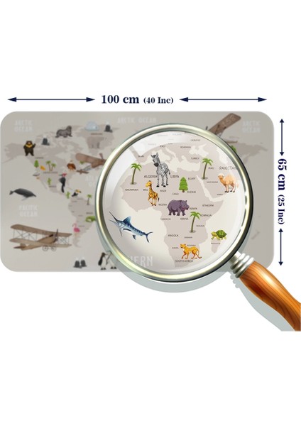 - Eğitici Dünya Haritası Dünya Atlası Çocuk ve Bebek Odası Duvar STICKER-60X105-3797