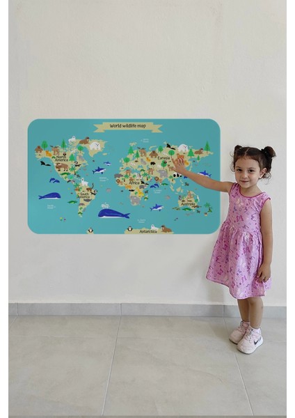 - Eğitici Dünya Haritası Dünya Atlası Çocuk ve Bebek Odası Duvar STICKER -60X105-3829