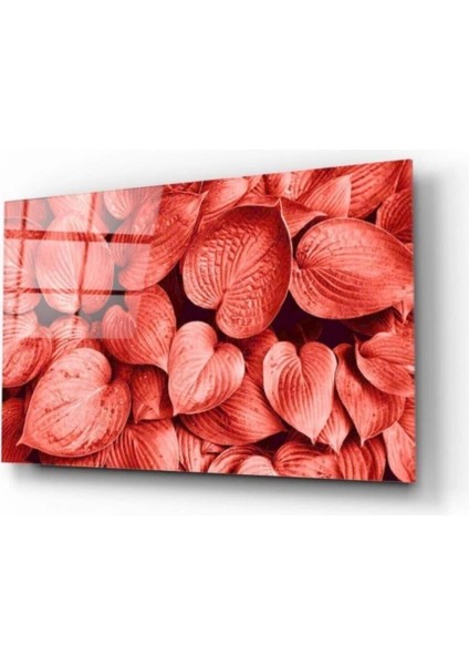 Renkli Göz Panoramik Cam Tablo