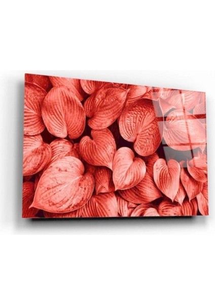 Renkli Göz Panoramik Cam Tablo fiyatları