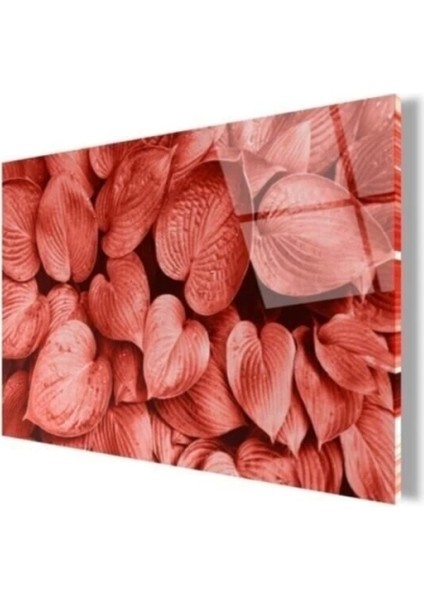 Renkli Göz Panoramik Cam Tablo fırsatları