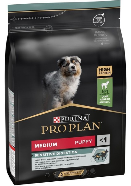 Kuzu Etli Lamb Puppy Dog Food Köpek Kuru Maması 3kg