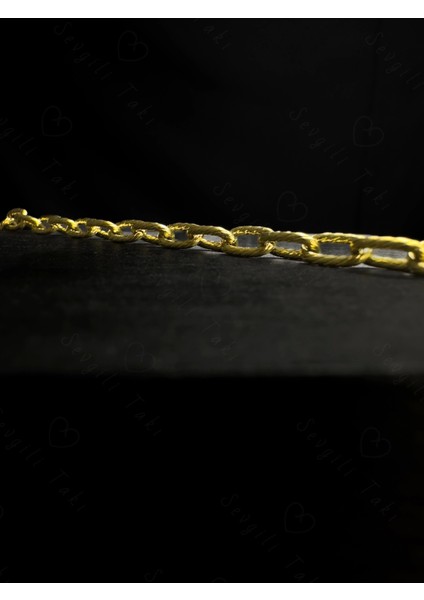 Paperclip Zincirli Gold Çelik Kedi Tasması/aksesuarı | Meow Serisi fırsatları