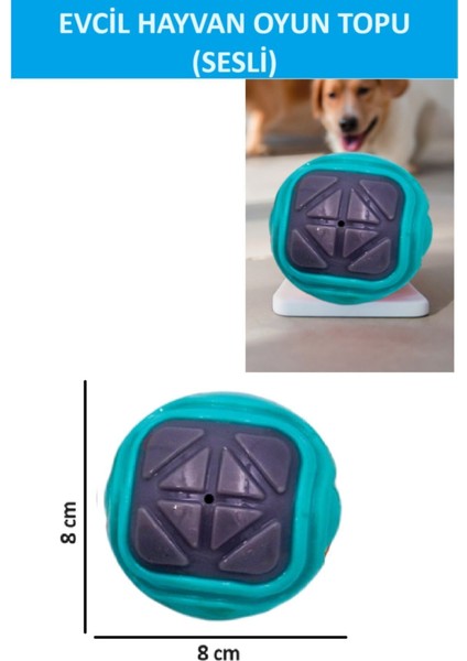 Sesli Köpek Topu (Kendinden Sesli Köpek Oyuncağı)