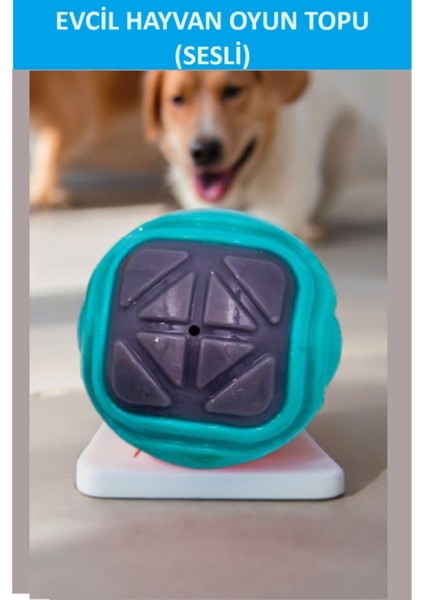Sesli Köpek Topu (Kendinden Sesli Köpek Oyuncağı) fiyatları