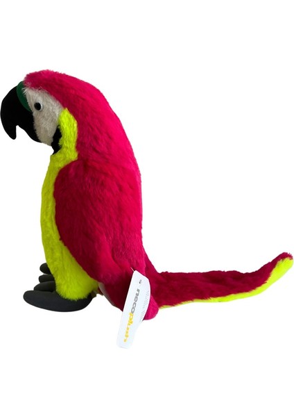 Peluş Papağan Sarı Kırmızı Renkli