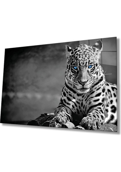 Çita Hayvan Portresi Cam Tablo, Ev ve Ofis Duvar Dekoru, Hediyelik Büyük Temperli 4 mm Cam Tablo