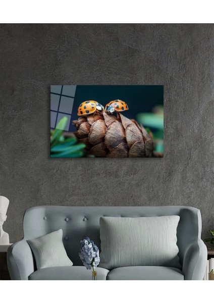 Uğur Böceği ve Yaprak Cam Tablo, Ev ve Ofis Duvar Dekoru, Hediyelik Büyük Temperli 4 mm Cam Tablo